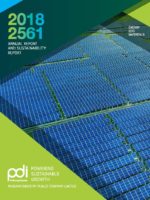 PDI_AnnualReport_2018 ENG Final (2)_Page_001